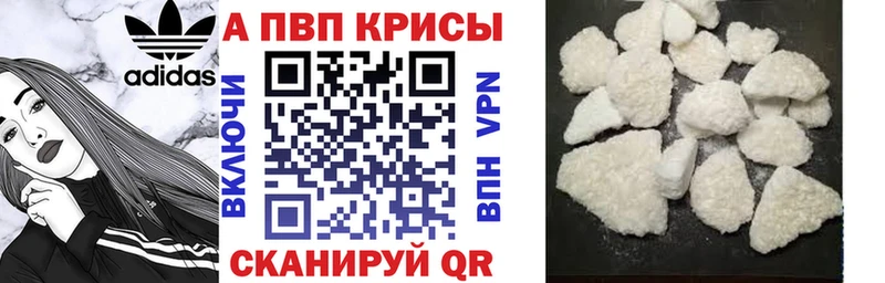 APVP СК Колпашево