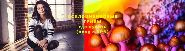 гидропоника Армянск