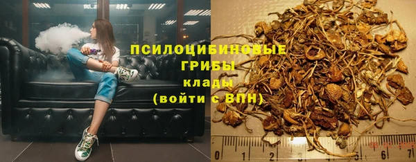 гидропоника Армянск
