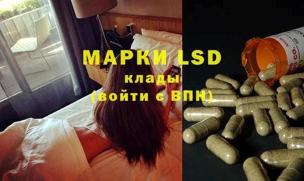 спайс Аркадак