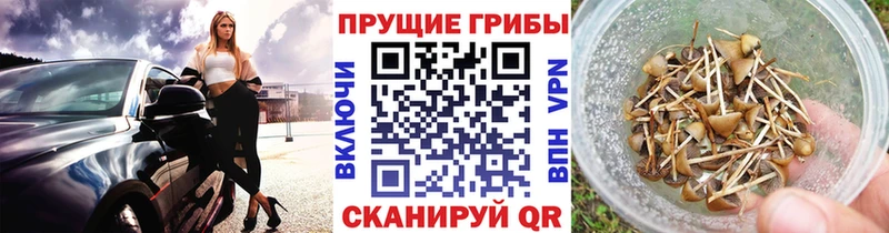 Псилоцибиновые грибы прущие грибы  Колпашево 